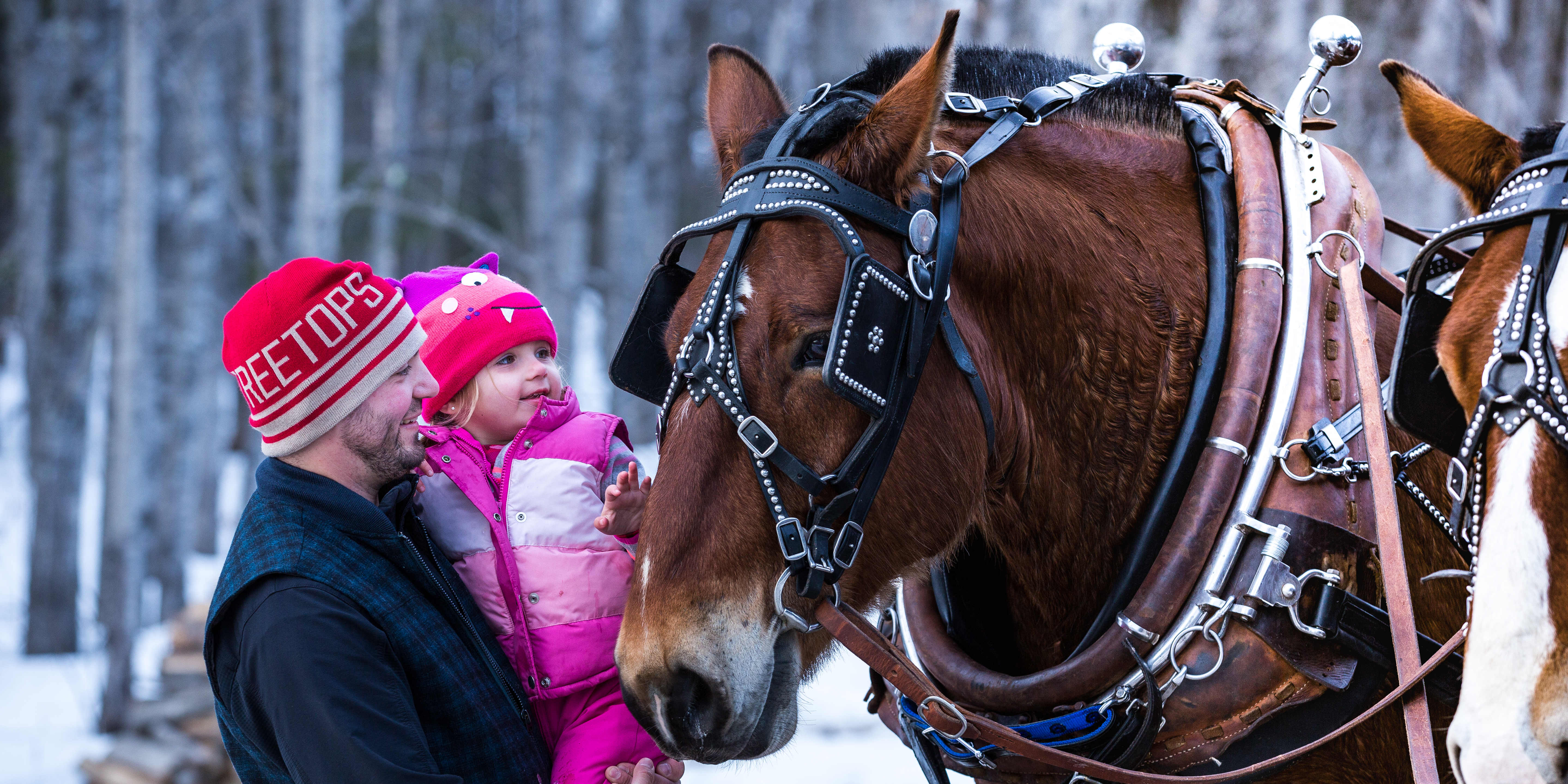Get Outside for Winter Fun: Hot Chocolate Comes Later