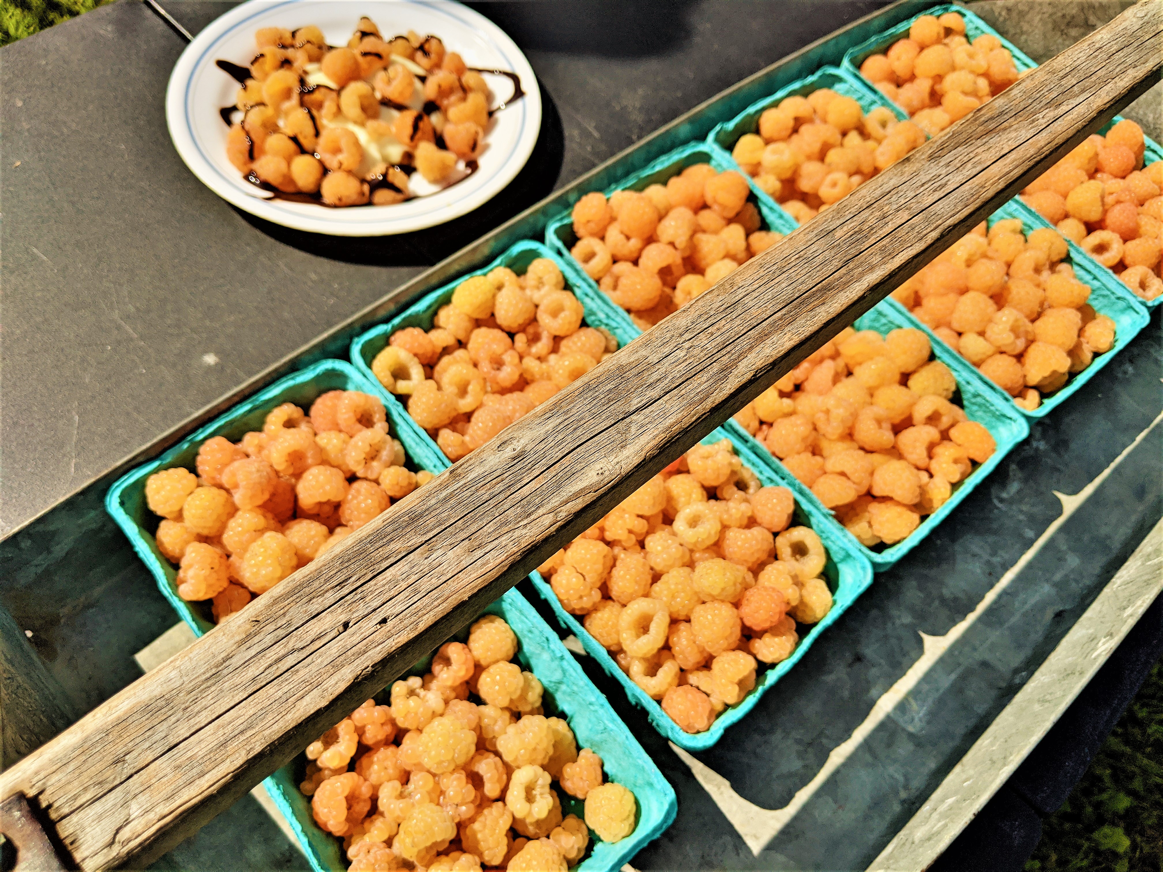 Golden Raspberries: The Perfect End to Autumn
