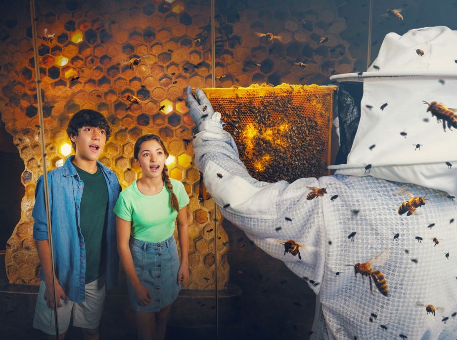 Denny Sanford Wildlife Explorers Basecamp Opens at the San Diego Zoo