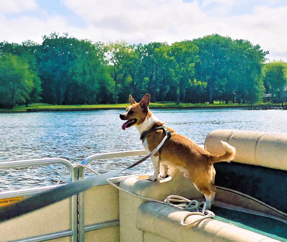 Cruising River St. Joe