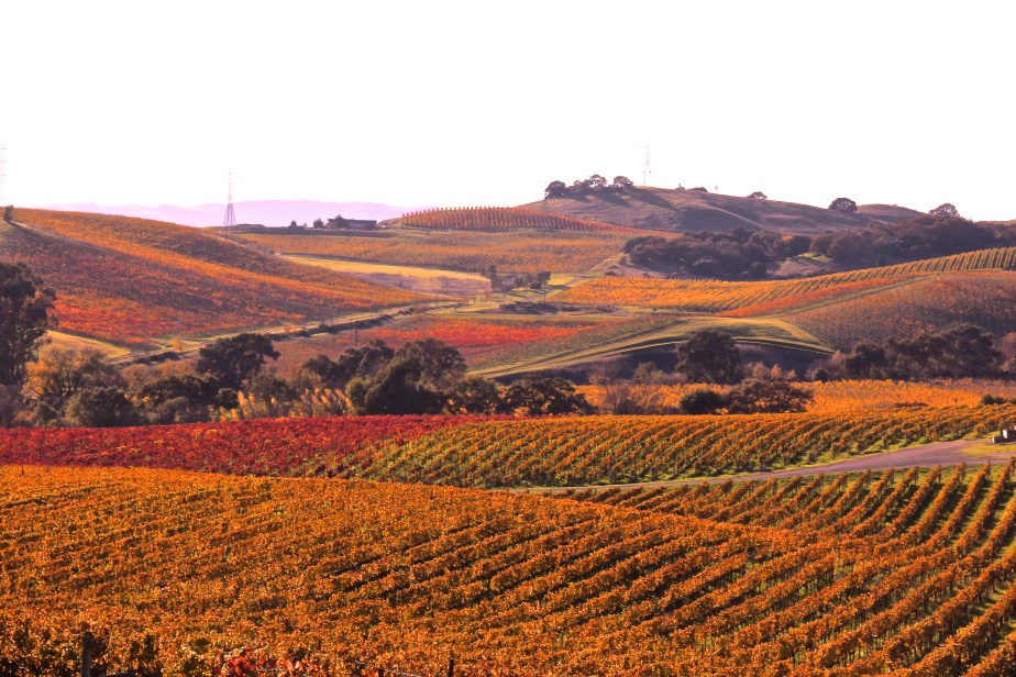 Road Trip Through Golden Foliage in the Golden State