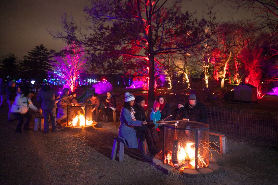 Celebrate the Holidays in Chicago: Great Happenings