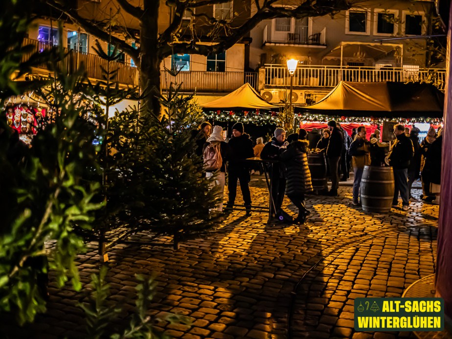 Hashtag This: Germany’s Most Instagrammable Christmas Markets