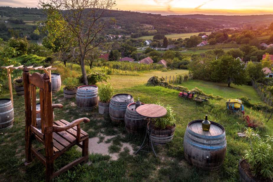  An Enchanting Journey: Exploring Hungary’s 1000-Year-Old Wine Culture