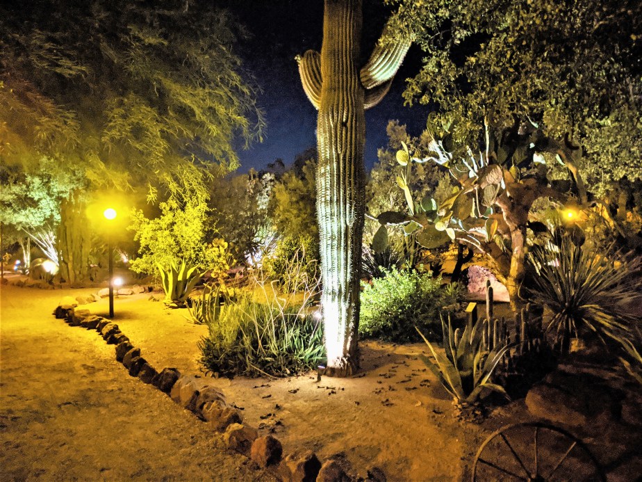 Fall is the Adventure Season at the National Parks