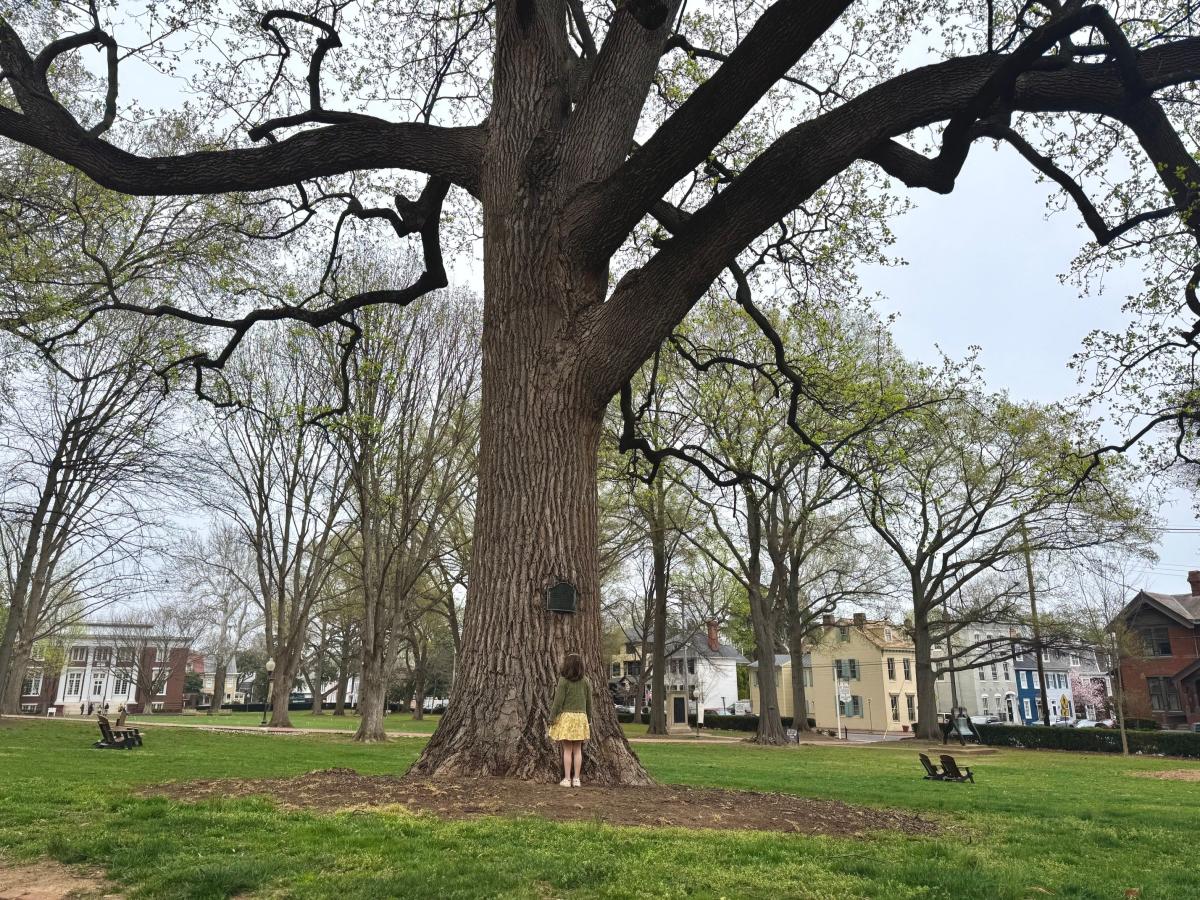 Allegany County’s Liberty Tree Trail: An Idea Rooted in History