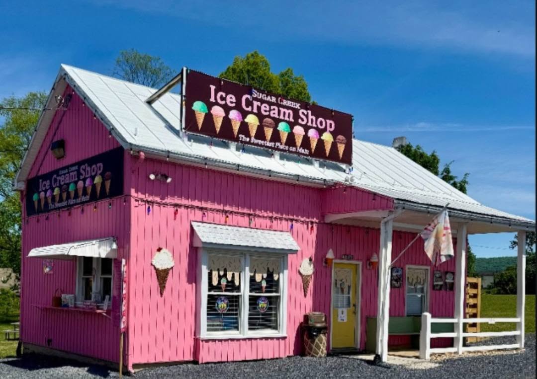 A New Way to Celebrate National Ice Cream Month